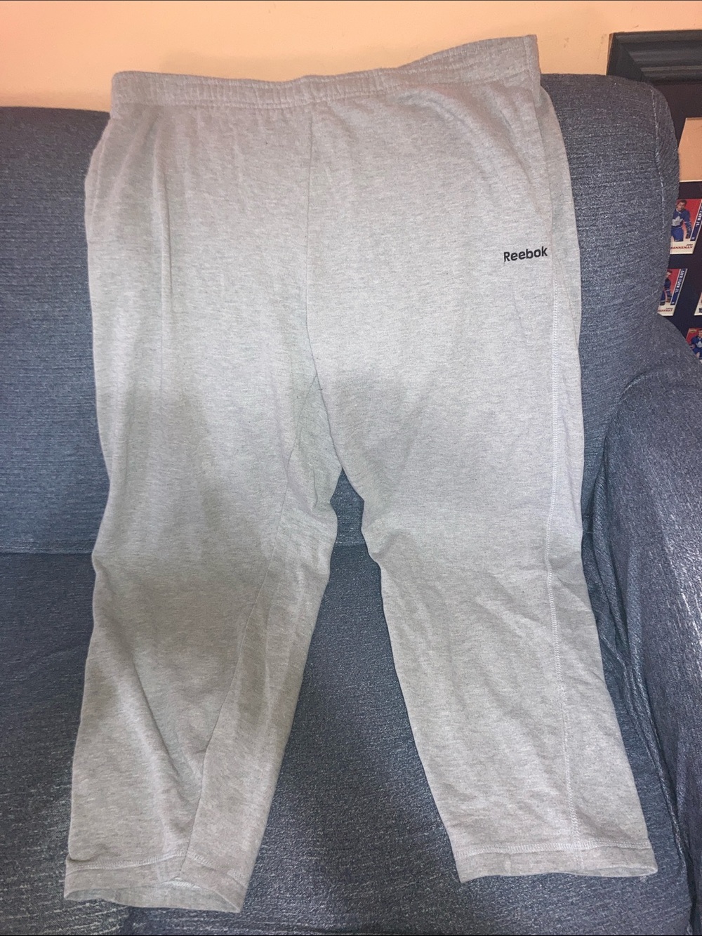 Reebok Kids Light Gray Sweatpants with Tiny Logo